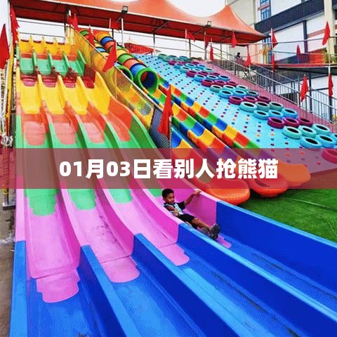 熊貓搶先看，元旦新景象