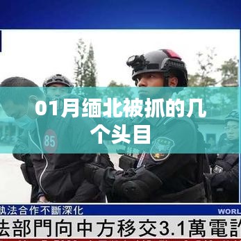 緬北行動(dòng)，一月頭目抓捕行動(dòng)回顧