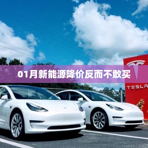 新能源降價(jià)引發(fā)觀望心態(tài)，消費(fèi)者猶豫待購