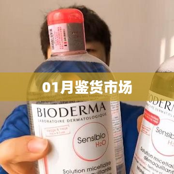 最新鑒貨市場(chǎng)趨勢(shì)分析