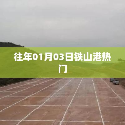 鐵山港元旦后熱度概覽，歷年一月初的熱門事件回顧