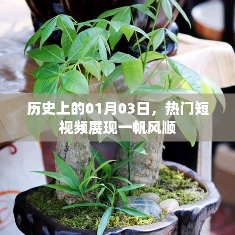 熱門短視頻展現(xiàn)，歷史一月三日一帆風(fēng)順時(shí)刻