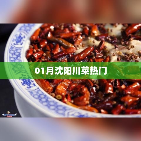 沈陽(yáng)一月川菜熱門榜單