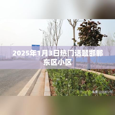 邯鄲東區(qū)小區(qū)，聚焦2025年1月3日熱議話題