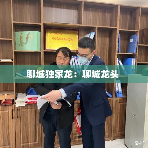 聊城獨(dú)家龍：聊城龍頭 
