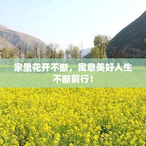家里花開不斷，寓意美好人生不斷前行！