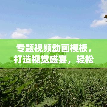 專題視頻動畫模板，打造視覺盛宴，輕松吸引眼球！