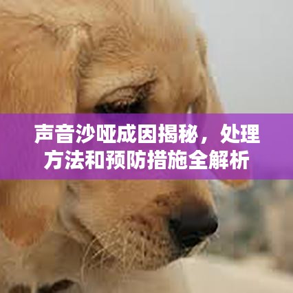 聲音沙啞成因揭秘，處理方法和預(yù)防措施全解析