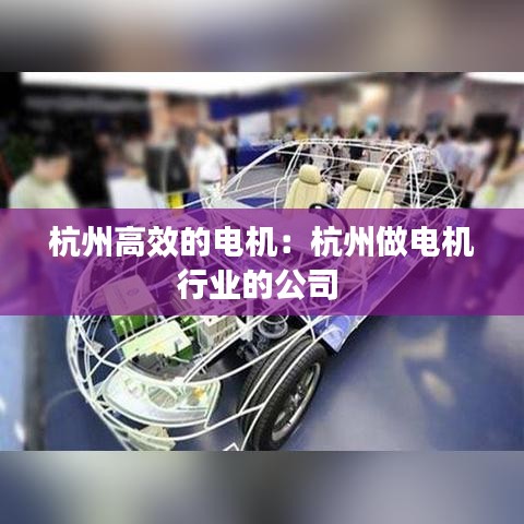 杭州高效的電機(jī)：杭州做電機(jī)行業(yè)的公司 