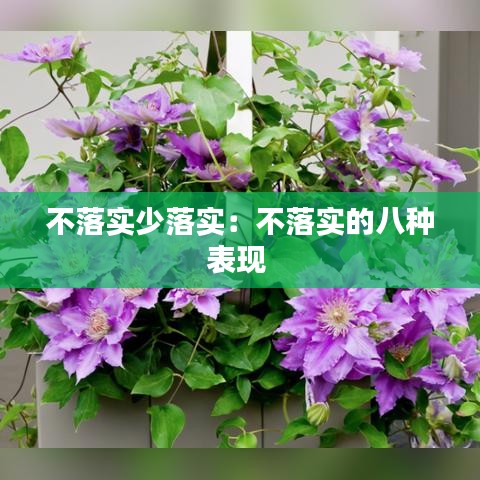 不落實(shí)少落實(shí)：不落實(shí)的八種表現(xiàn) 