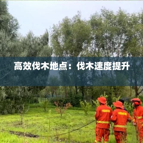 一毫不茍 第4頁