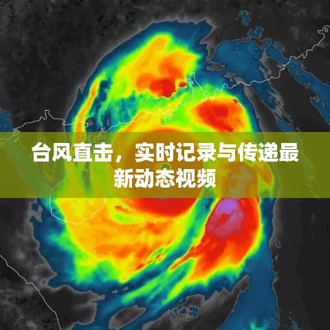 臺風直擊，實時記錄與傳遞最新動態(tài)視頻