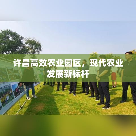 許昌高效農(nóng)業(yè)園區(qū)，現(xiàn)代農(nóng)業(yè)發(fā)展新標(biāo)桿