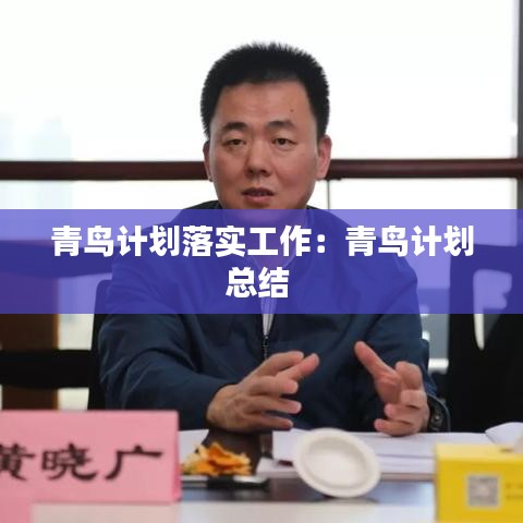 青鳥(niǎo)計(jì)劃落實(shí)工作：青鳥(niǎo)計(jì)劃總結(jié) 