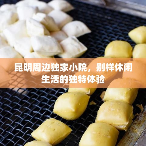 昆明周邊獨(dú)家小院，別樣休閑生活的獨(dú)特體驗(yàn)