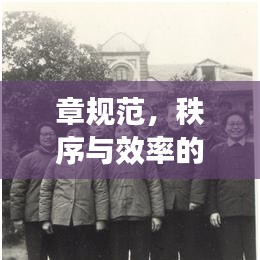 章規(guī)范，秩序與效率的保障基石