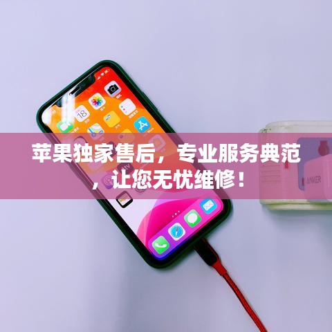 蘋果獨家售后，專業(yè)服務(wù)典范，讓您無憂維修！