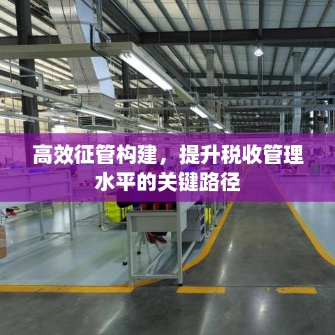 高效征管構(gòu)建，提升稅收管理水平的關(guān)鍵路徑