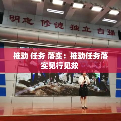 推動(dòng) 任務(wù) 落實(shí)：推動(dòng)任務(wù)落實(shí)見行見效 