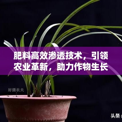 肥料高效滲透技術，引領農(nóng)業(yè)革新，助力作物生長新動力