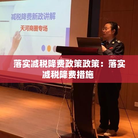 落實減稅降費政策政策：落實減稅降費措施 