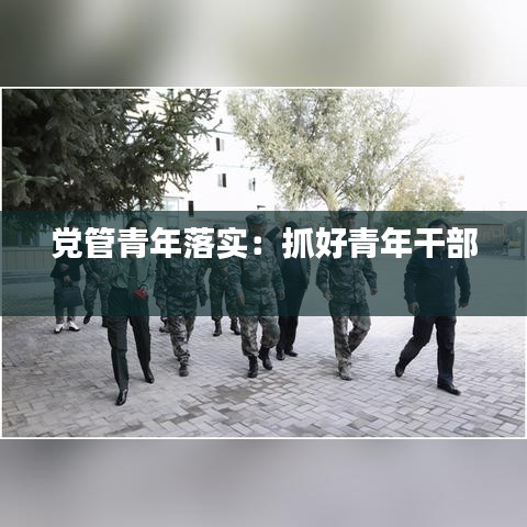 黨管青年落實(shí)：抓好青年干部 