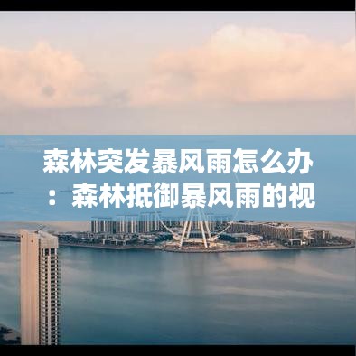 森林突發(fā)暴風(fēng)雨怎么辦：森林抵御暴風(fēng)雨的視頻 