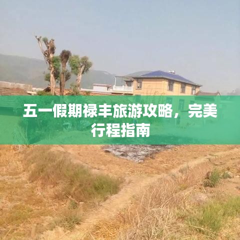 五一假期祿豐旅游攻略，完美行程指南
