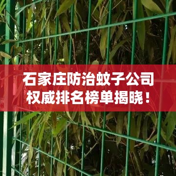 石家莊防治蚊子公司權(quán)威排名榜單揭曉！
