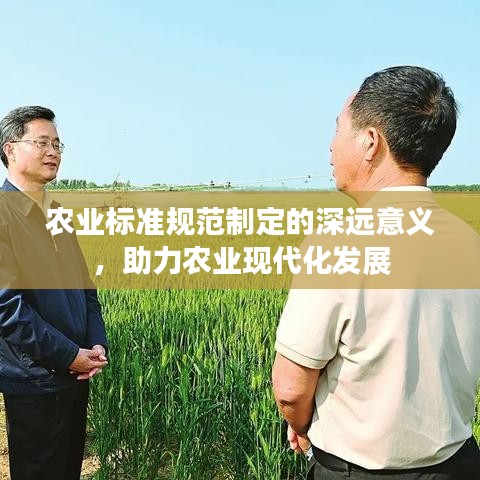 農(nóng)業(yè)標(biāo)準(zhǔn)規(guī)范制定的深遠(yuǎn)意義，助力農(nóng)業(yè)現(xiàn)代化發(fā)展