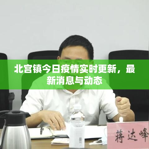 北宮鎮(zhèn)今日疫情實(shí)時(shí)更新，最新消息與動(dòng)態(tài)