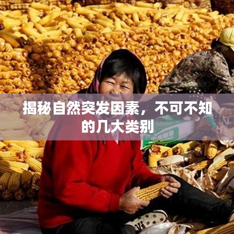 揭秘自然突發(fā)因素，不可不知的幾大類別