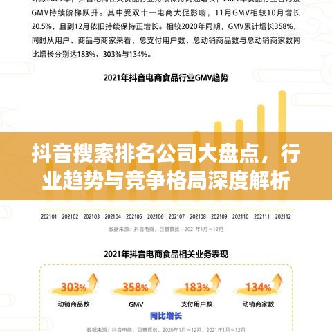 抖音搜索排名公司大盤點(diǎn)，行業(yè)趨勢與競爭格局深度解析
