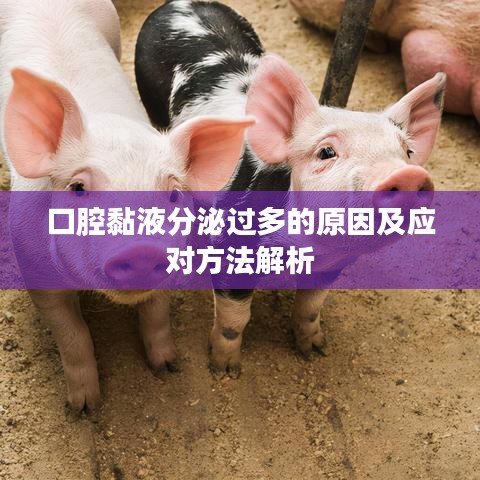 口腔黏液分泌過多的原因及應(yīng)對(duì)方法解析