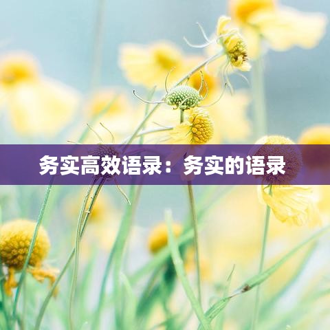 務(wù)實(shí)高效語錄：務(wù)實(shí)的語錄 