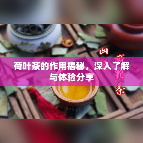 荷葉茶的作用揭秘，深入了解與體驗分享