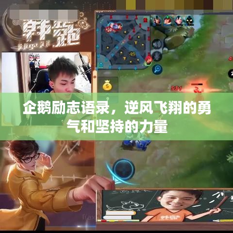 企鵝勵(lì)志語錄，逆風(fēng)飛翔的勇氣和堅(jiān)持的力量