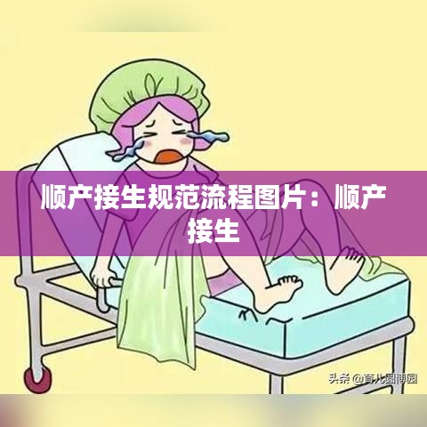 順產(chǎn)接生規(guī)范流程圖片：順產(chǎn) 接生 