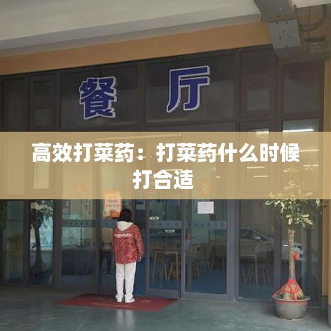 展翅高飛 第3頁