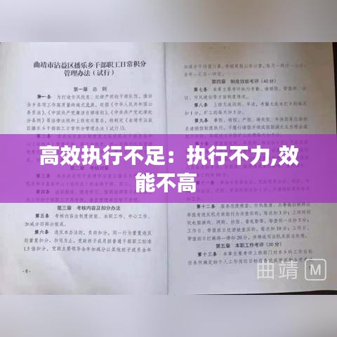 高效執(zhí)行不足：執(zhí)行不力,效能不高 