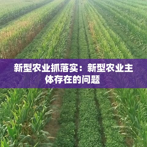 新型農(nóng)業(yè)抓落實：新型農(nóng)業(yè)主體存在的問題 