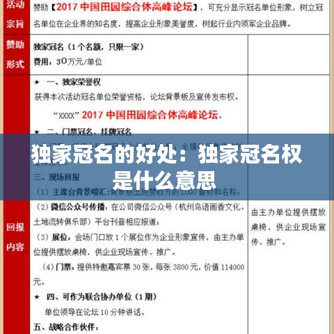 獨家冠名的好處：獨家冠名權(quán)是什么意思 