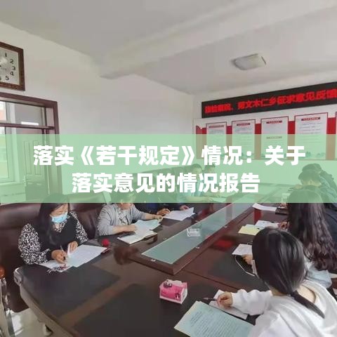 落實《若干規(guī)定》情況：關于落實意見的情況報告 