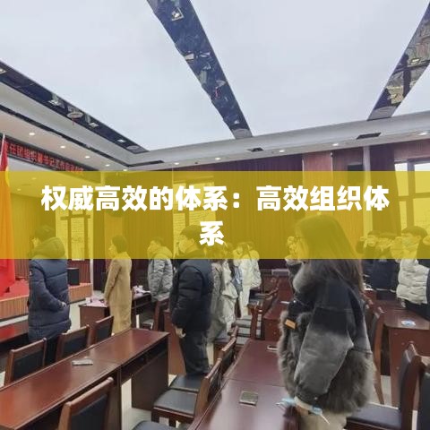 權(quán)威高效的體系：高效組織體系 