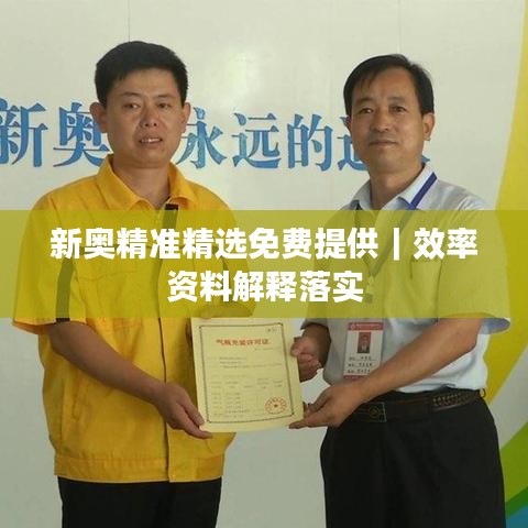 新奧精準(zhǔn)精選免費提供｜效率資料解釋落實