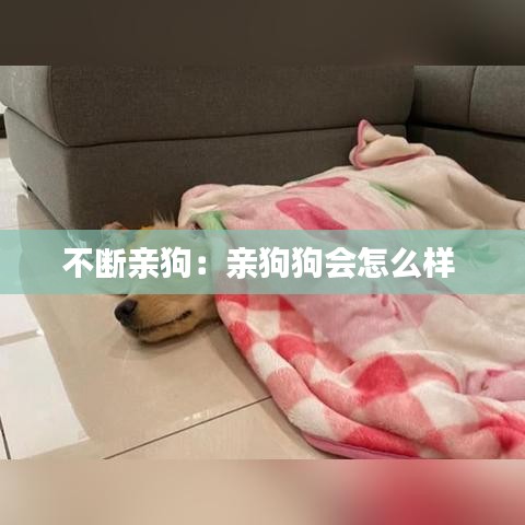 不斷親狗：親狗狗會怎么樣 