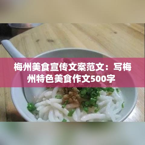 梅州美食宣傳文案范文：寫梅州特色美食作文500字 