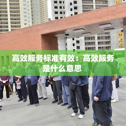 高效服務標準有效：高效服務是什么意思 