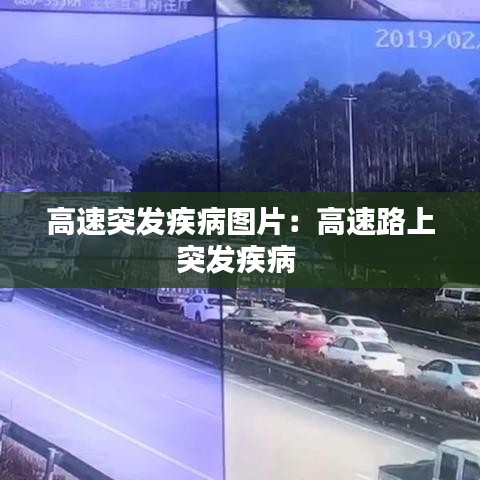 高速突發(fā)疾病圖片：高速路上突發(fā)疾病 