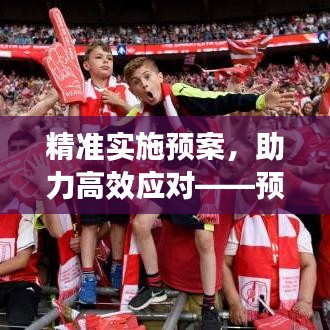 精準實施預案，助力高效應對——預案實施建議深度解讀